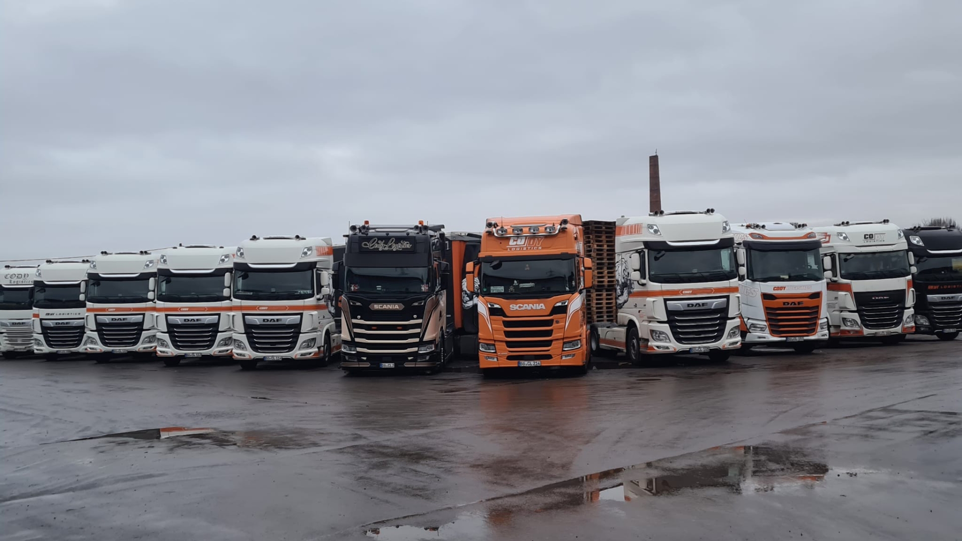 Cody Logistics Referenzbild Nr. 27